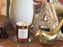 TORRI | Ambered Vanille & Vanilla  Signature Candle (8 oz)— A warm, comforting luxury candle with a crackling wood wick